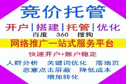 百度推广实战：成功案例解析